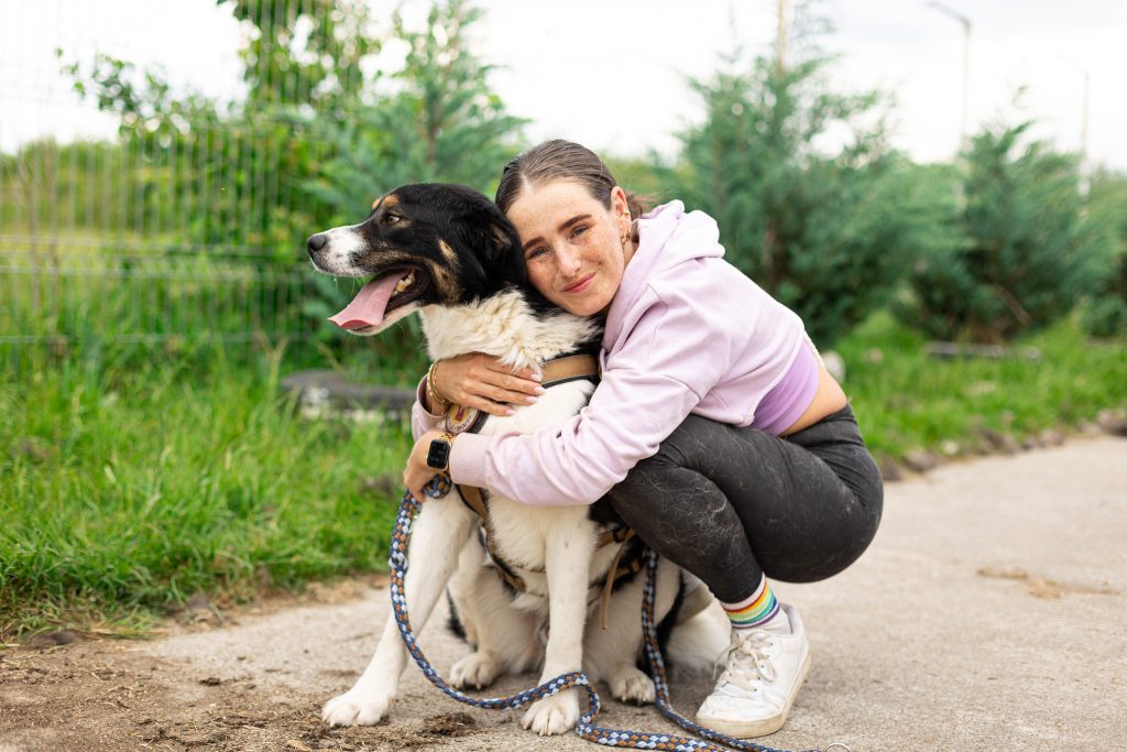 Foto von einem Hund aus dem Tierschutz
